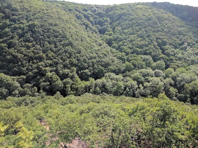 View of Přírodní rezervace Šance in Krč, CZ