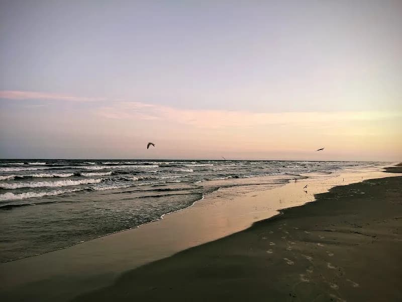 View of Padre Island National Seashore in Corpus Christi, TX