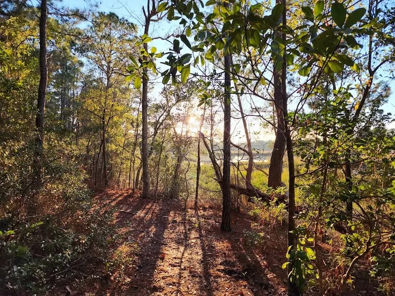 View of Pages Creek Park Preserve in Wilmington, NC