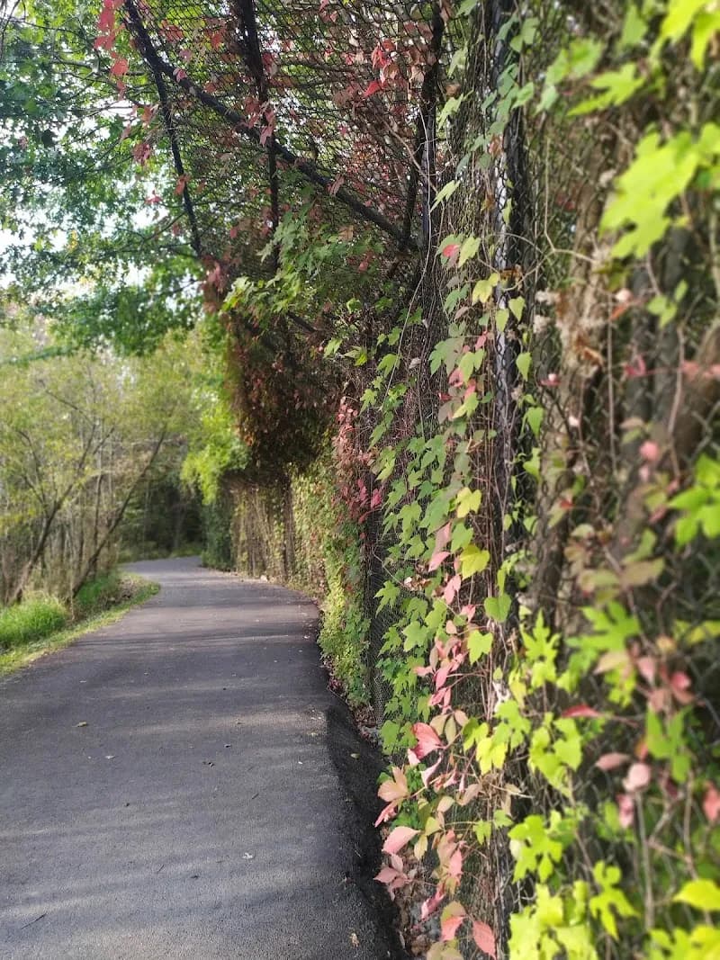 View of Paint Branch Trail in College Park, MD