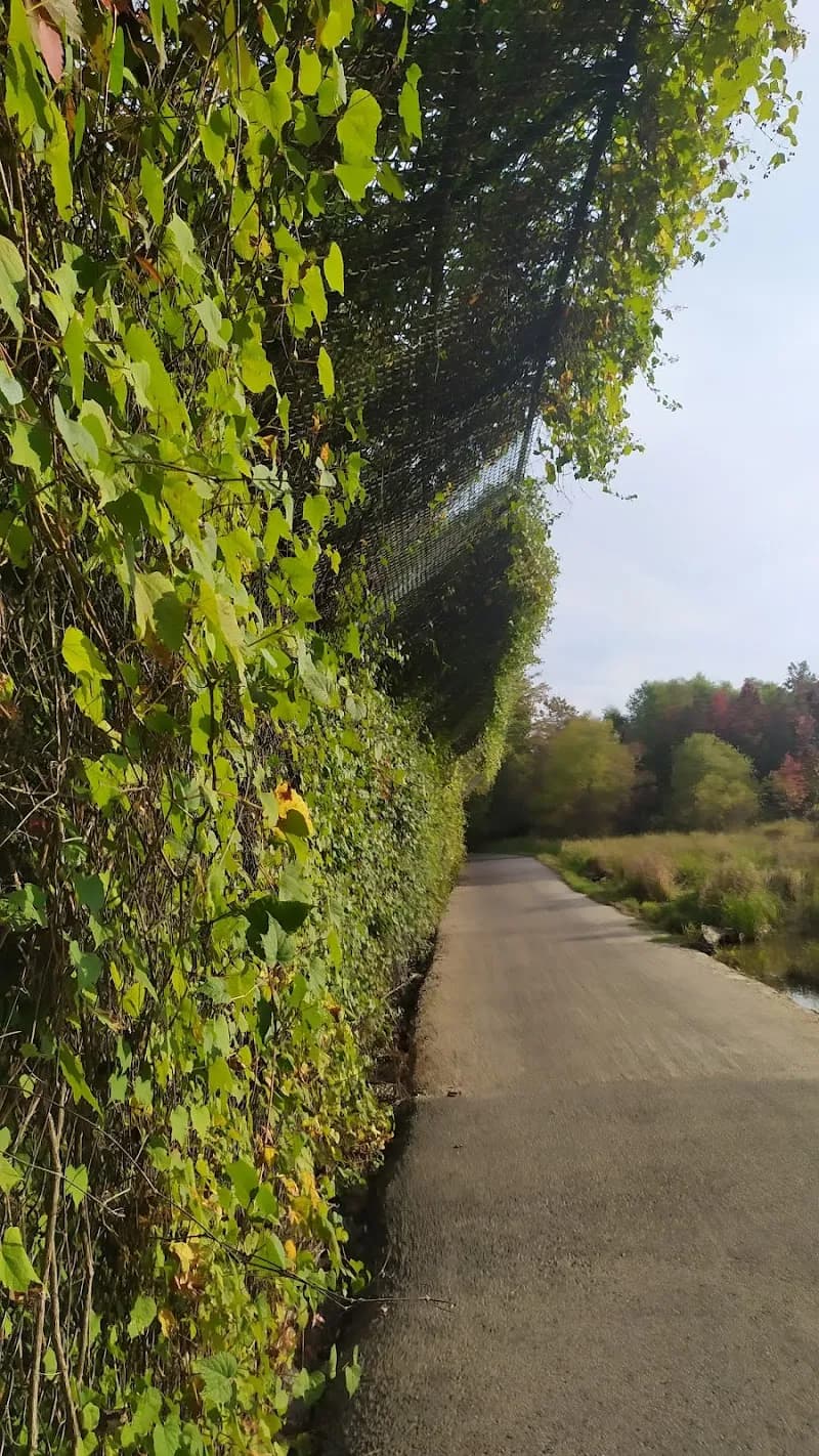 View of Paint Branch Trail in College Park, MD
