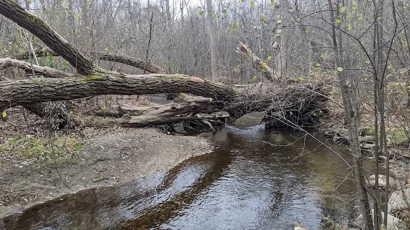 View of Paint Creek Trail in Rochester Hills, MI