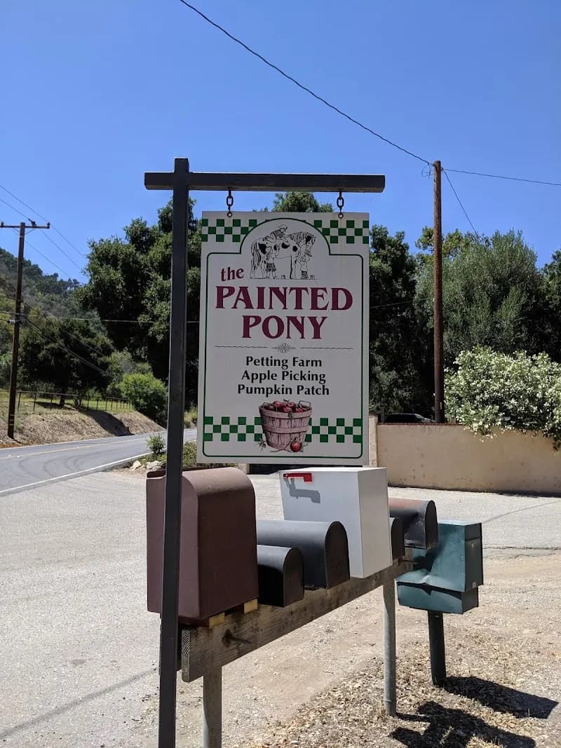 Painted Pony educational institution in West Palm Beach, FL