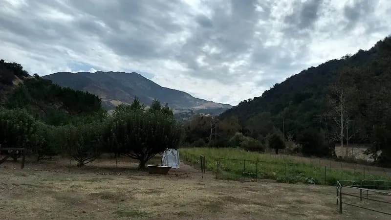 View of Painted Pony in West Palm Beach, FL