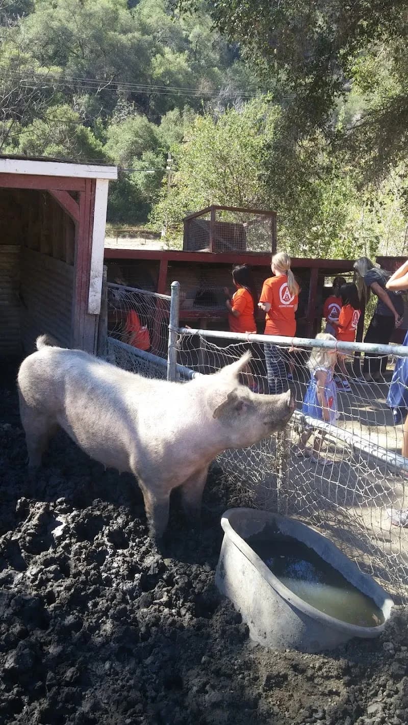 View of Painted Pony in West Palm Beach, FL