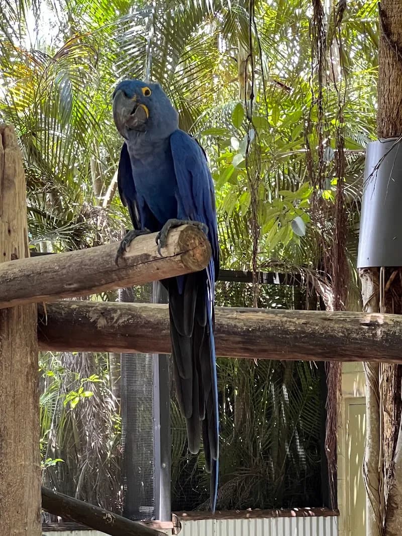 View of Palm Beach Zoo & Conservation Society in West Palm Beach, FL