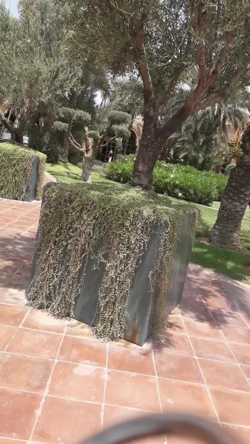 View of Palmeraie Oasis Park in Palmeraie, MS