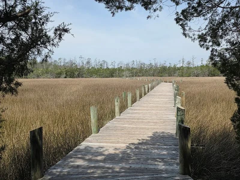 Palmetto Islands County Park park in Charleston, SC