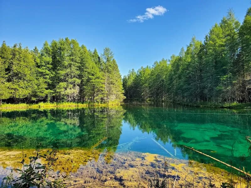 Palms Book State Park state park in Manistique, MI