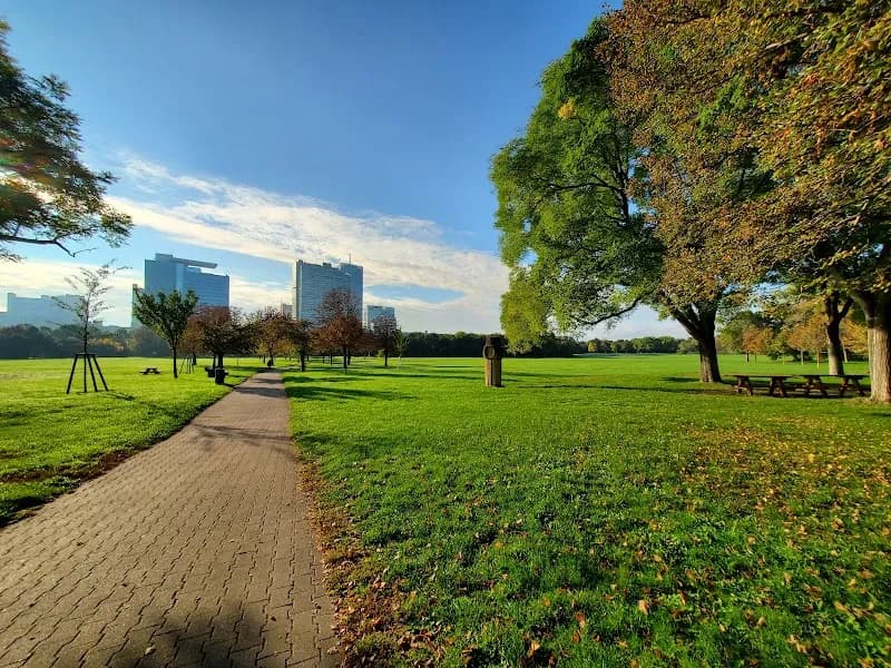 View of Papstwiese Donaupark in Döbling, VIE