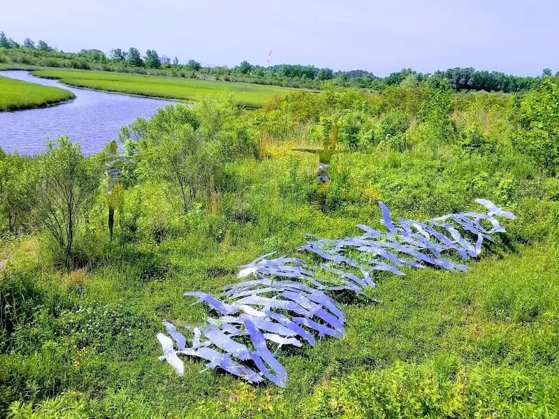 View of Paradise Creek Nature Park in Norfolk, VA