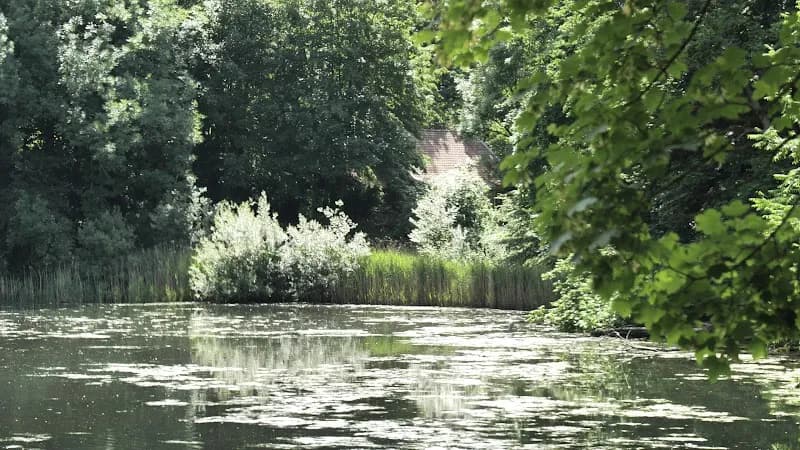 View of Parc in Auderghem, BRU