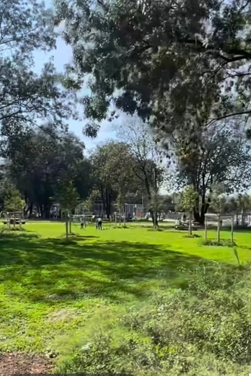 View of Parc Communal de Cagnes in Cagnes-sur-Mer, PACA