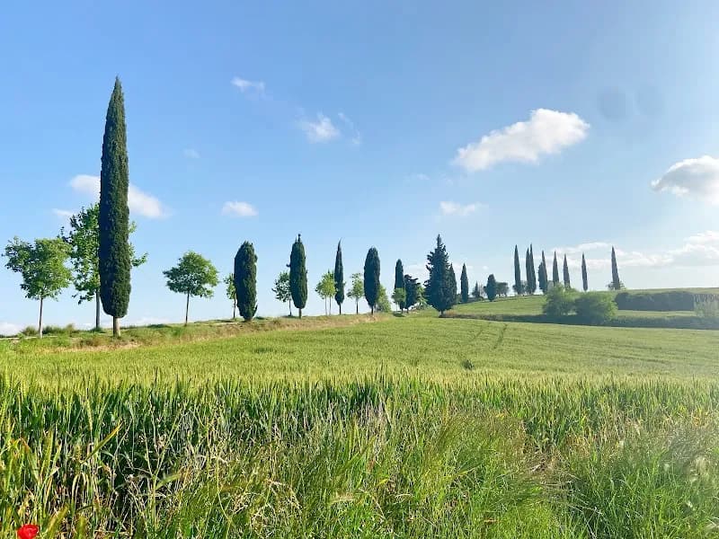 Parc de Ca n’Oriol park in Rubí, CT