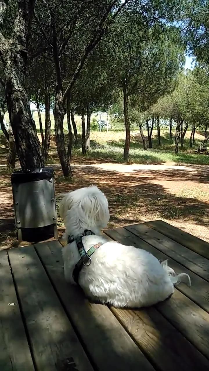 View of Parc de Catalunya in Sabadell, CT