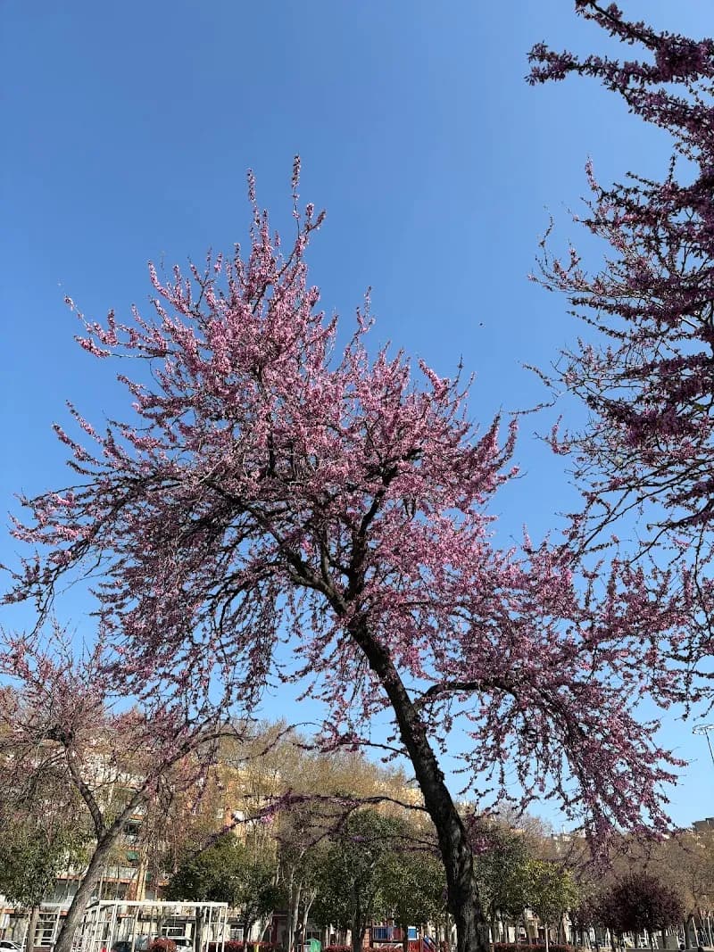 View of Parc de la Mariona in Molins de Rei, CT