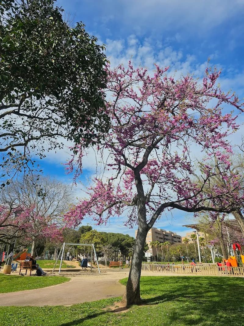 View of Parc de la Muntanyeta in Castelldefels, CT