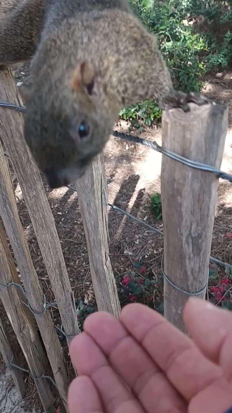 View of Parc de la Pinède in Golfe-Juan, PACA