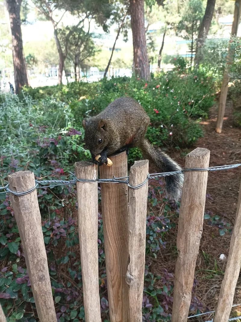 View of Parc de la Pinède in Golfe-Juan, PACA