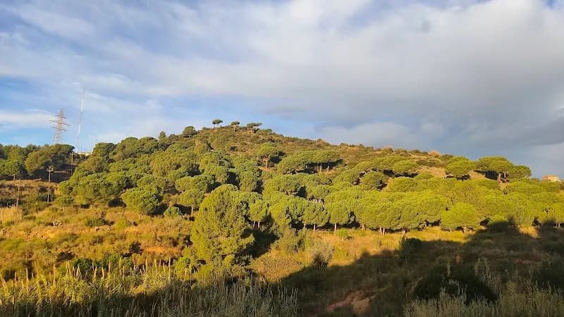 View of Parc de la Serralada de Marina in Sant Cugat del Vallès, CT