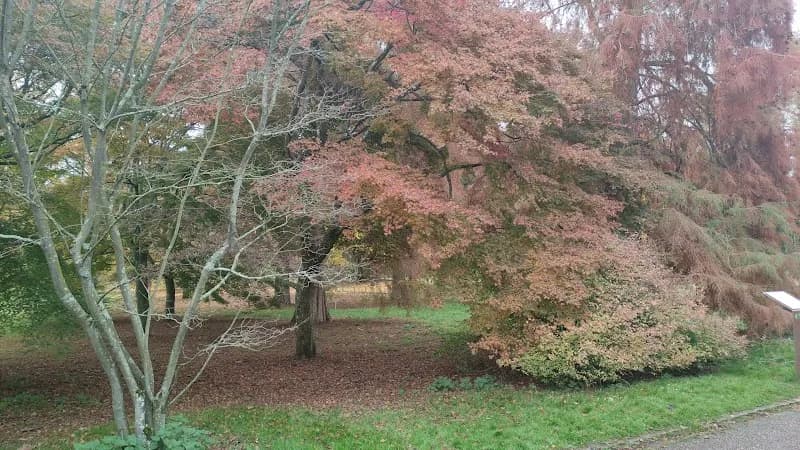 View of Parc de la Vallée aux Loups in Saint-Germain-en-Laye, IDF