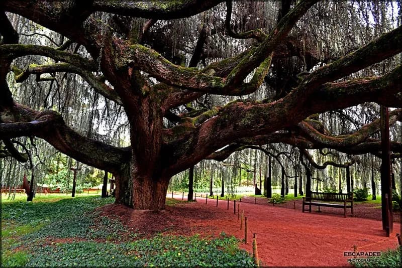 View of Parc de la Vallée aux Loups in Saint-Germain-en-Laye, IDF