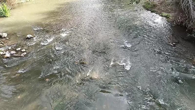 View of Parc del Túria in Riba-roja de Túria, V
