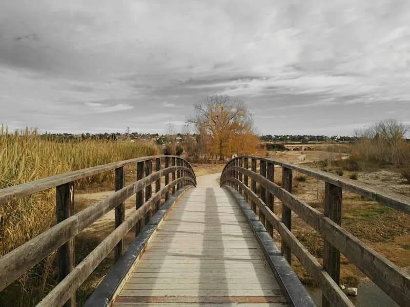 View of Parc del Túria in Riba-roja de Túria, V