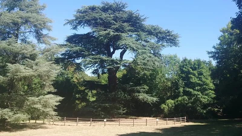 View of Parc des Tourelles in Evry, IDF