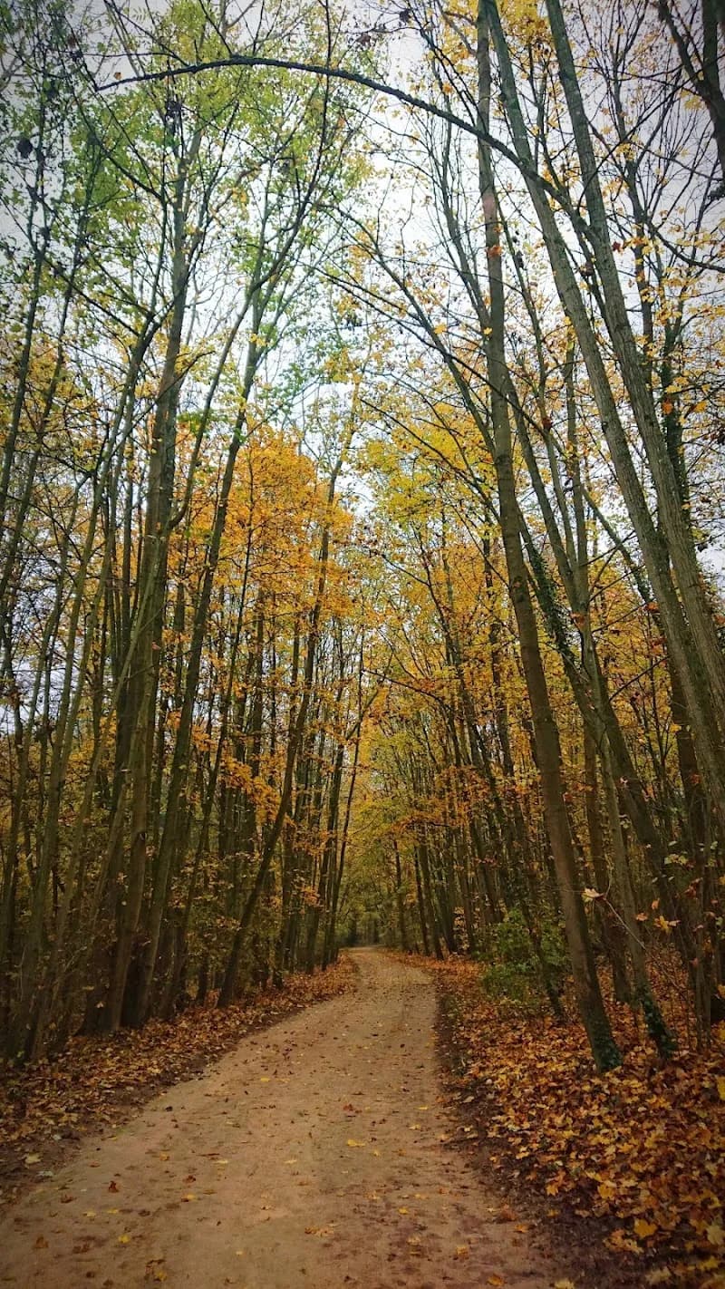 View of Parc des Tourelles in Evry, IDF