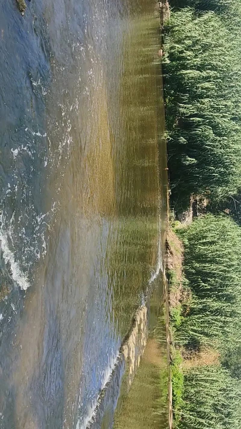View of Parc Fluvial del Besòs in Sant Cugat del Vallès, CT