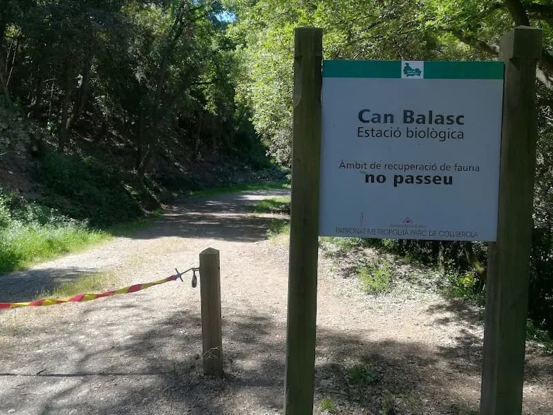 View of Parc Natural de Can Balasc in Matadepera, CT