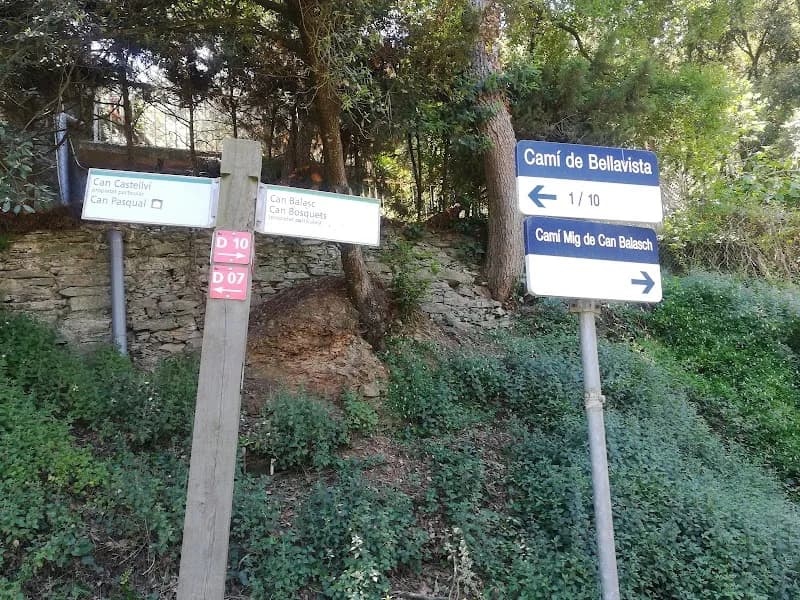 View of Parc Natural de Can Balasc in Matadepera, CT