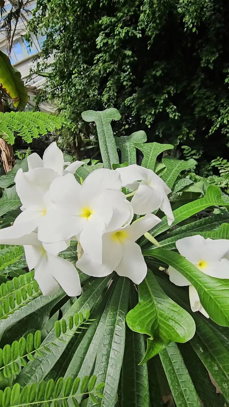 View of Parc Phœnix in Nice, PAC