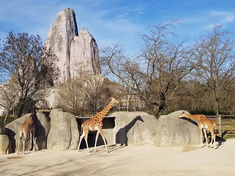 View of Parc zoologique de Paris in Vincennes, IDF