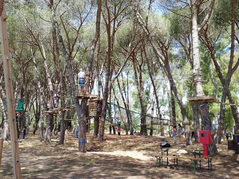 View of Parco Avventura Fregene in Fregene, Lazio