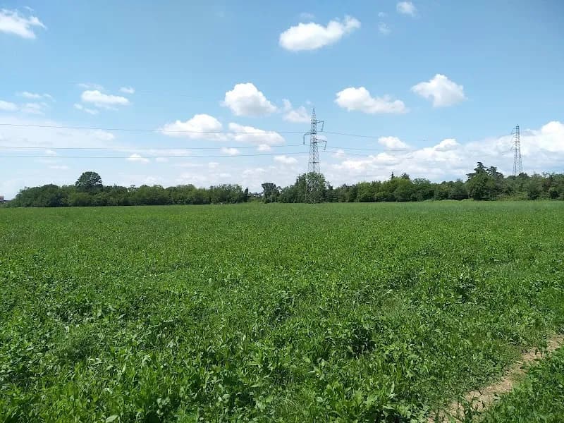 Parco Centrale di Brugherio park in Brianza, Lombardy