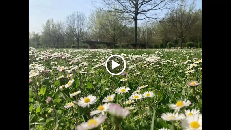 View of Parco Fluviale "Di là d'Arno" in Capraia e Limite, Tuscany