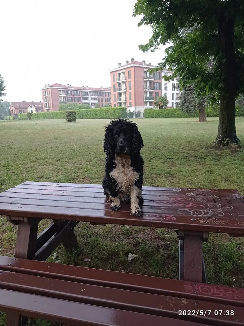 View of Parco Ghisolfa in Rho, Lombardy
