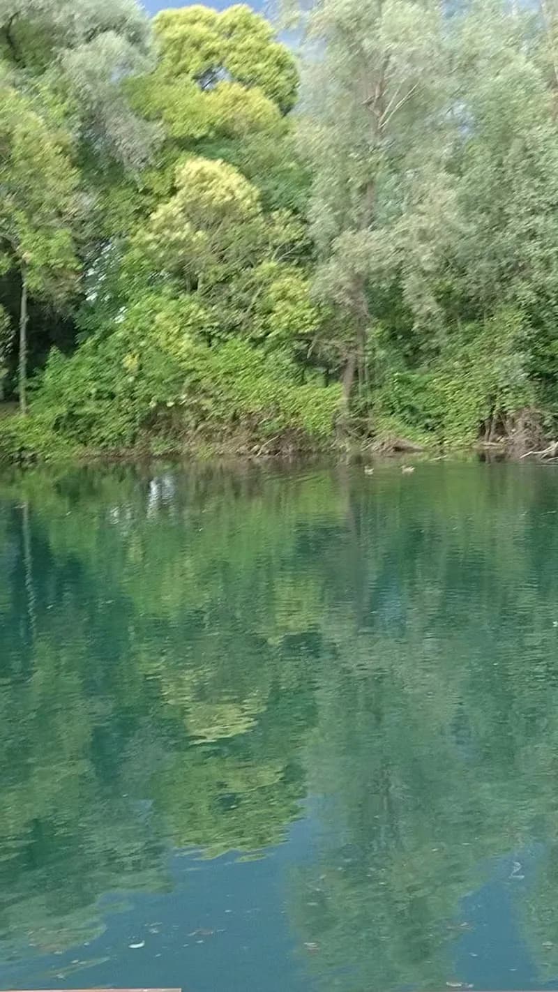 View of Parco Naturale Regionale del Fiume Sile in Favaro Veneto, VE