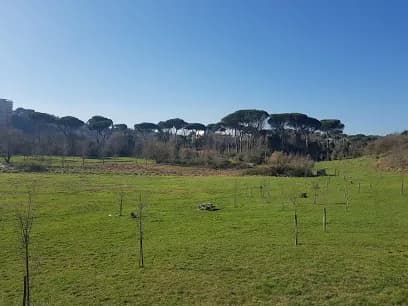 Parco Urbano dell'Inviolatella nature in Nettuno, Lazio