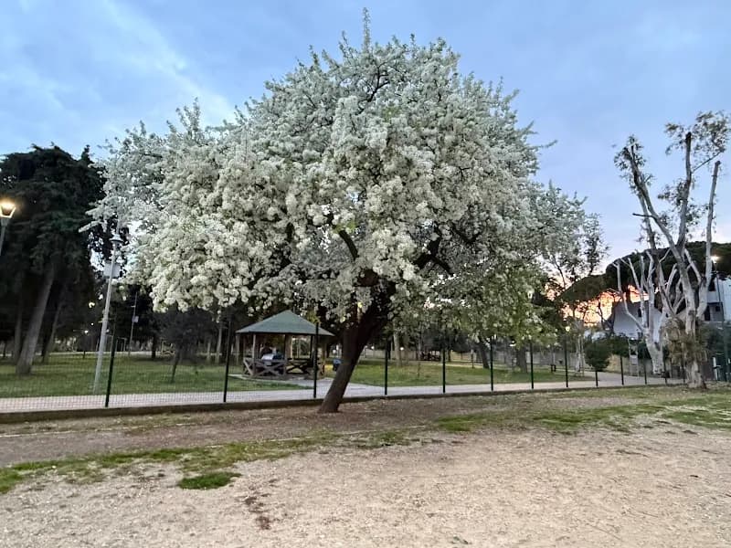 View of Parco Yuri Spigarelli in Civitavecchia, Lazio