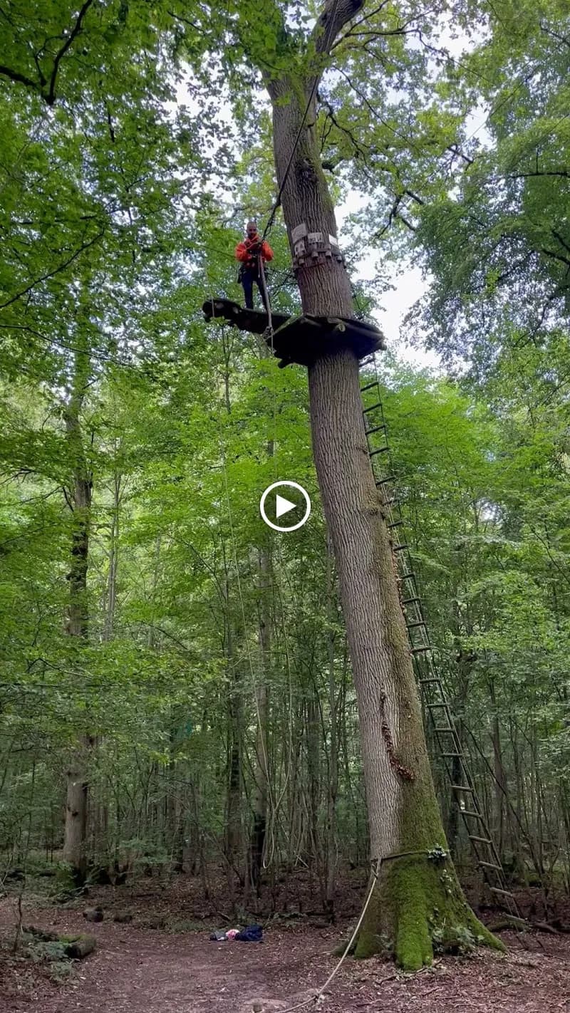 View of Parcours Aventure in Disneyland Paris Area (Marne-la-Vallée), IDF