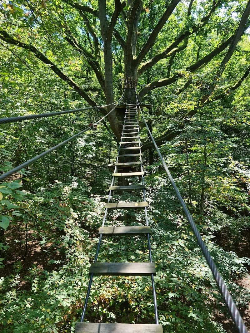View of Parcours Aventure in Disneyland Paris Area (Marne-la-Vallée), IDF