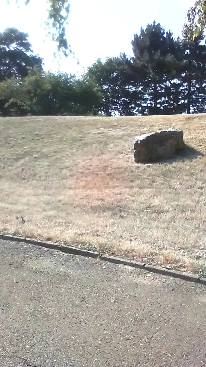 View of Park Židovských obětí in Žižkov, CZ