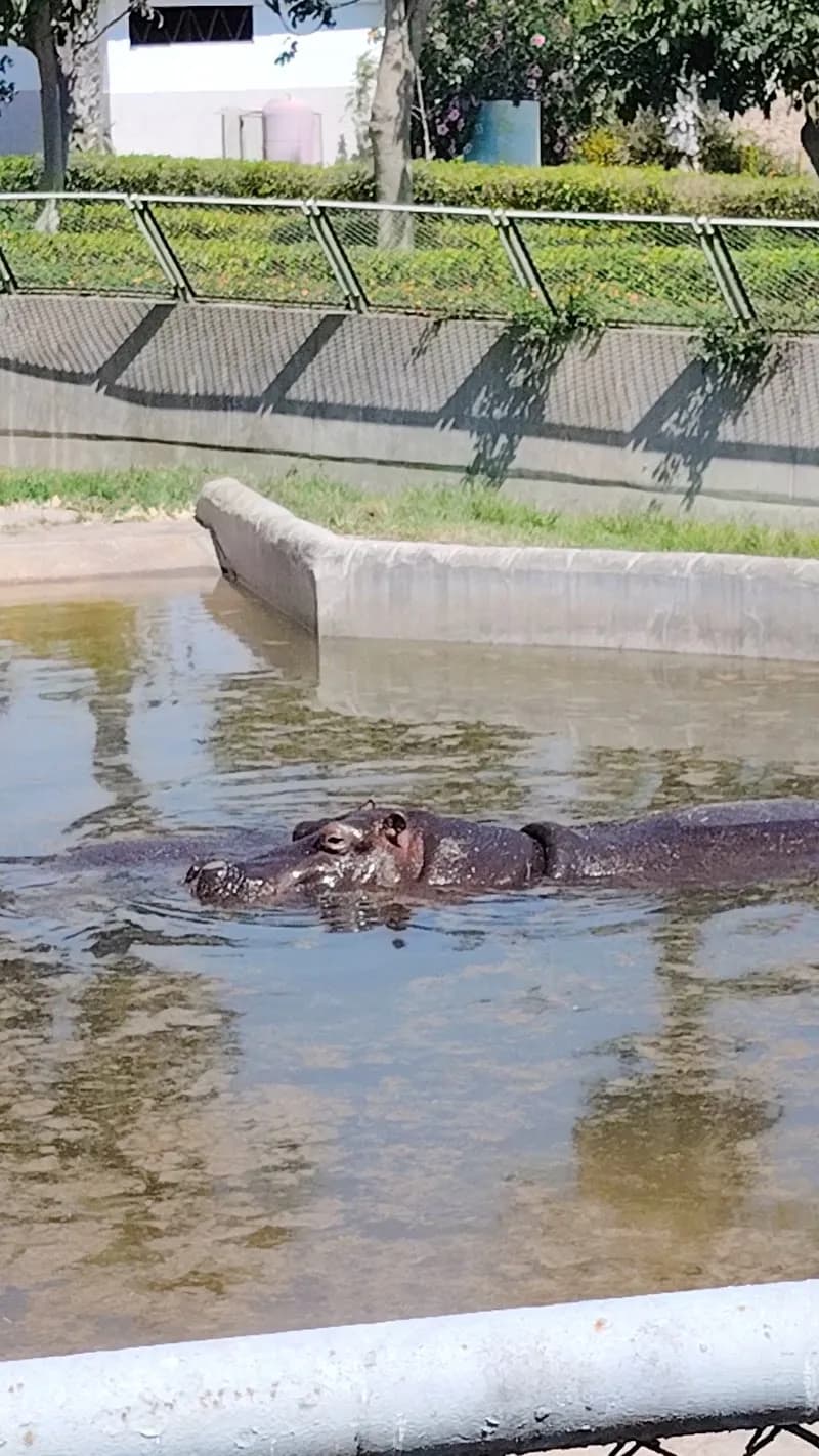 View of Park of the Legends Zoo in Lima, LIM