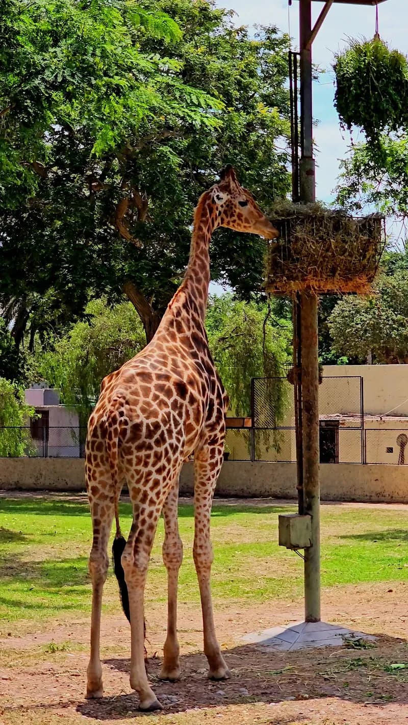 View of Park of the Legends Zoo in Lima, LIM