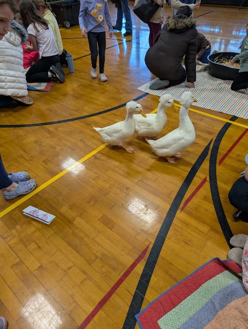 View of Park Ridge Park District in Park Ridge, IL