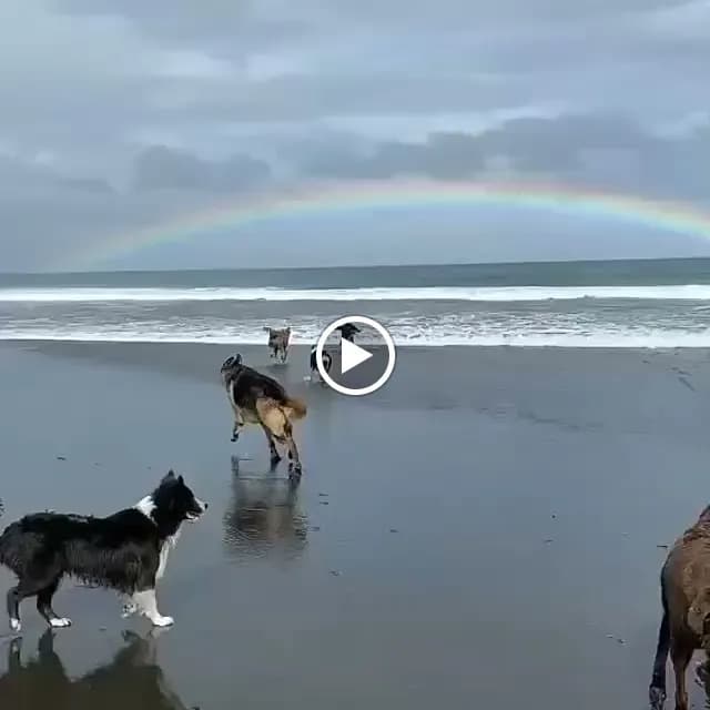View of Parklands Veterinary Clinic & Petting Area in Parklands, Nairobi