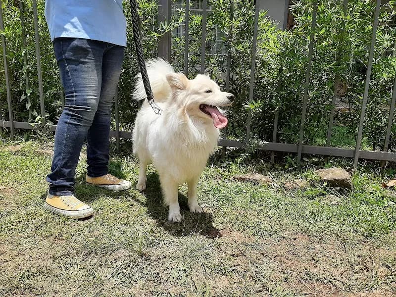 View of Parklands Veterinary Clinic & Petting Area in Parklands, Nairobi